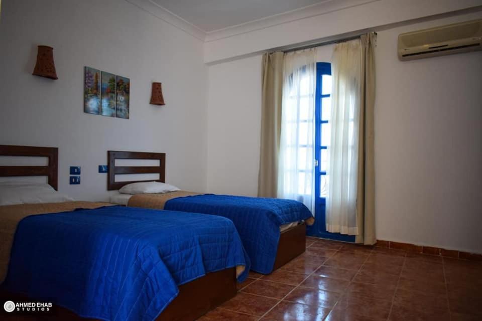 Sea Horse Hotel Dahab Kültér fotó